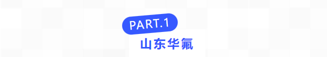 普菲特信息｜加速?山東華氟?數(shù)字化轉型之路